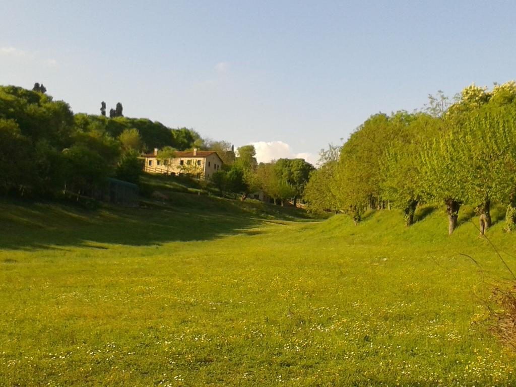 Casale La Rocchetta Bed & Breakfast Lonigo Bagian luar foto