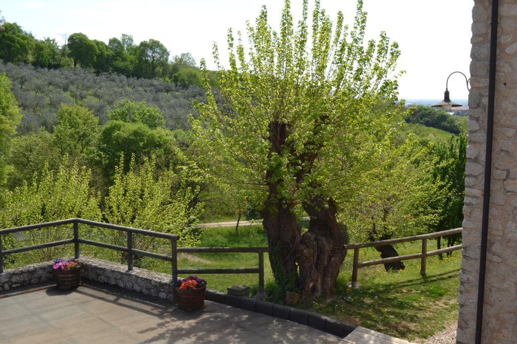 Casale La Rocchetta Bed & Breakfast Lonigo Bagian luar foto
