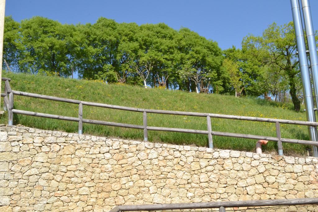 Casale La Rocchetta Bed & Breakfast Lonigo Bagian luar foto