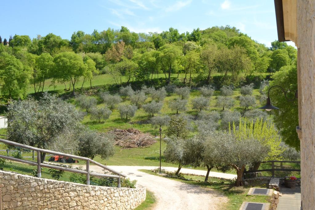Casale La Rocchetta Bed & Breakfast Lonigo Bagian luar foto