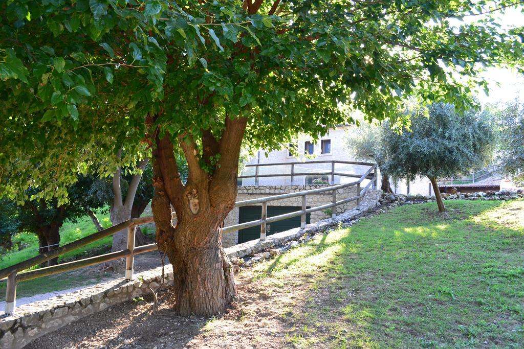 Casale La Rocchetta Bed & Breakfast Lonigo Bagian luar foto